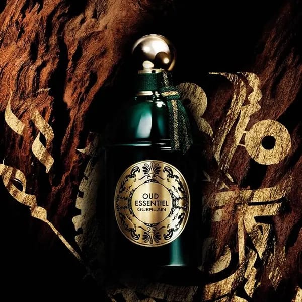 Men Perfume Guerlain Paris